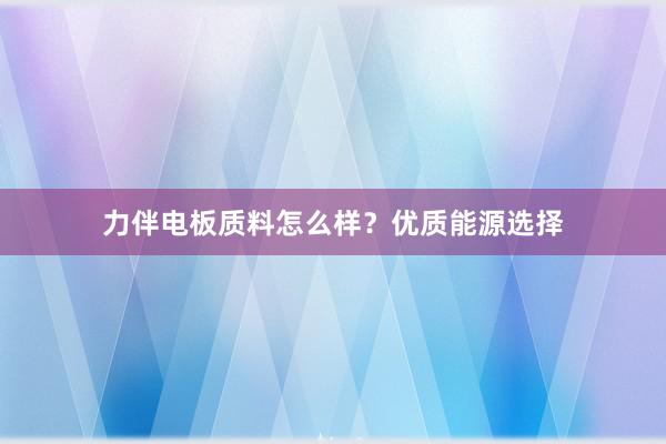 力伴电板质料怎么样？优质能源选择