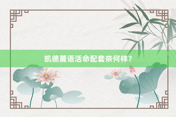 凯德麓语活命配套奈何样？